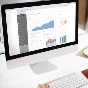 Accounting Software (Monthly Charge)
